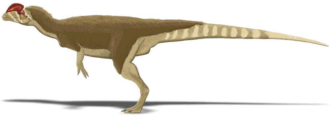 Dilophosaurus wetherilli life restoration