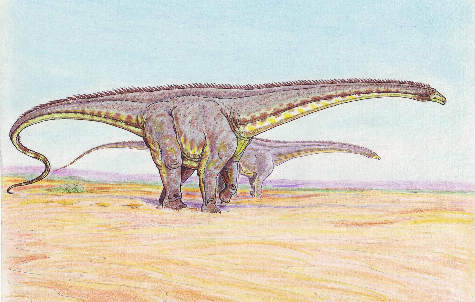 Life restoration of Diplodocus longus